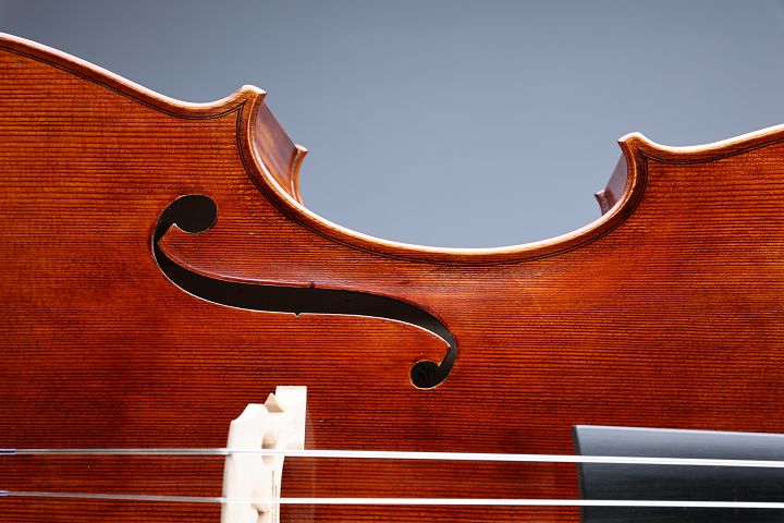 Leonhardt Rainer W. - Mittenwald 2022 - 3/4 Cello "Herbstblume" - C-020k